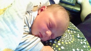 Resting peacefully is what she does best.