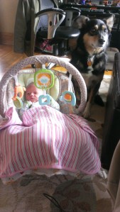 Tivo is tolerating Ada so well!