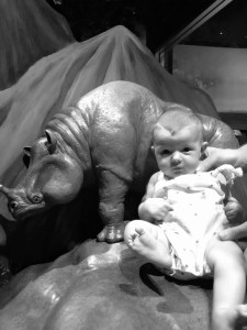 Hanging in the lost world with a rhino.