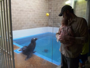 Captivated by the water animals.