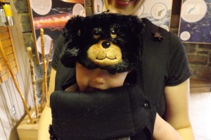 Our little bear cub.