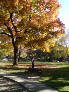 Can't beat that fall color!