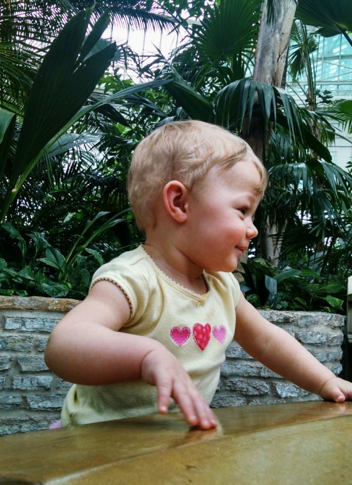 2016-03-13 12.16.15-2