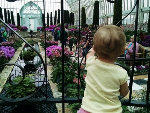 2016-03-13 12.27.53-1