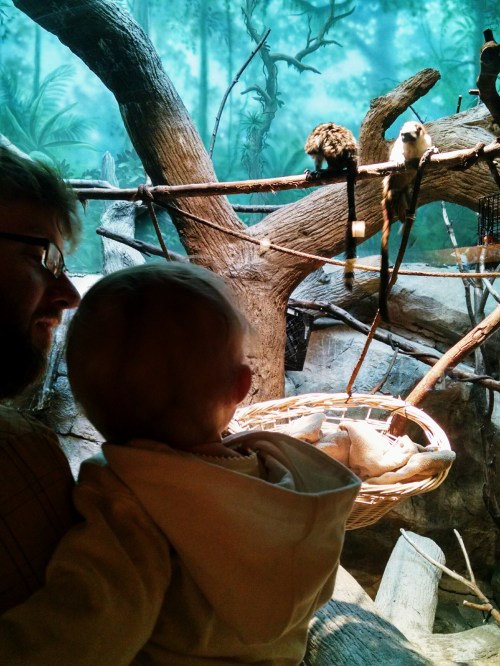 2016-03-13 13.12.53-1